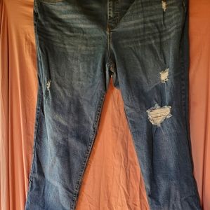 Terra & Sky Jeans Stretch waist SZ 20W